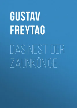 Gustav Freytag Das Nest der Zaunkönige обложка книги