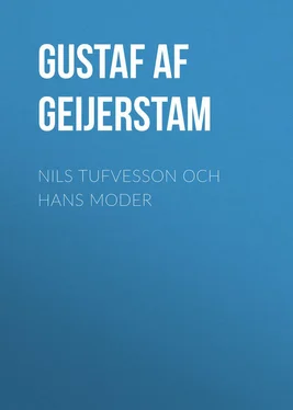 Gustaf Geijerstam Nils Tufvesson och hans moder обложка книги