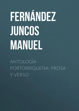 Manuel Fernández Juncos Antología portorriqueña: Prosa y verso обложка книги