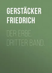 Friedrich Gerstäcker - Der Erbe. Dritter Band.