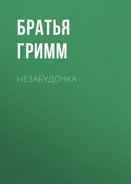 Якоб и Вильгельм Гримм Незабудочка обложка книги