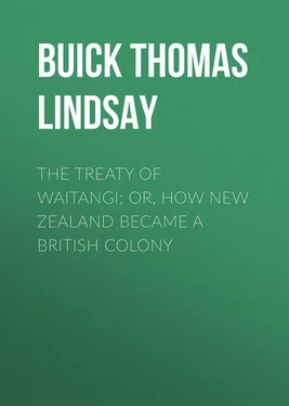 Thomas Buick The Treaty of Waitangi; or, how New Zealand became a British Colony обложка книги