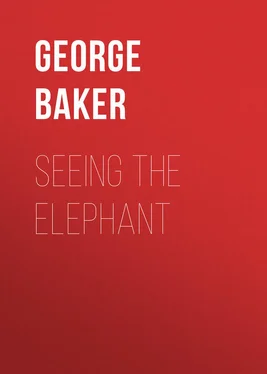 George Baker Seeing the Elephant обложка книги