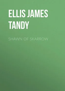 James Ellis Shawn of Skarrow обложка книги