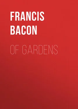 Francis Bacon Of Gardens обложка книги