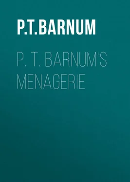 Phineas Barnum P. T. Barnum's Menagerie обложка книги