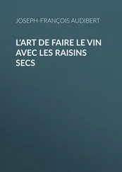 Joseph-François Audibert - L'art de faire le vin avec les raisins secs