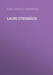 Eliel Aspelin-Haapkylä - Lauri Stenbäck