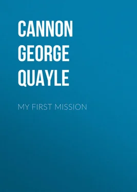 George Cannon My First Mission обложка книги