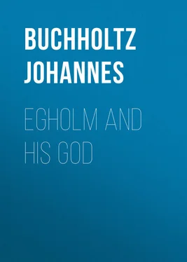 Johannes Buchholtz Egholm and his God обложка книги