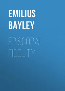Emilius Bayley Episcopal Fidelity обложка книги