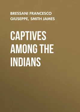 James Smith Captives Among the Indians обложка книги