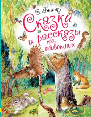 Виталий Бианки Сказки и рассказы про животных
