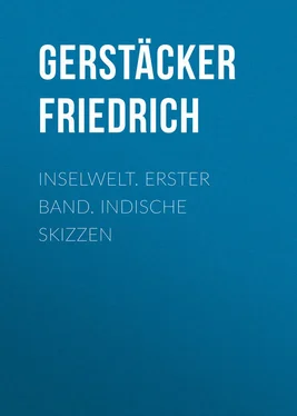 Friedrich Gerstäcker Inselwelt. Erster Band. Indische Skizzen обложка книги