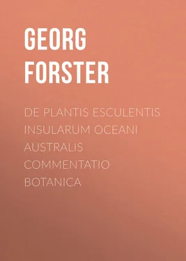 Georg Forster De Plantis Esculentis Insularum Oceani Australis Commentatio Botanica обложка книги