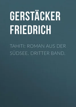 Friedrich Gerstäcker Tahiti: Roman aus der Südsee. Dritter Band. обложка книги