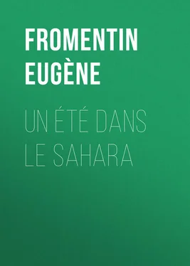 Eugène Fromentin Un été dans le Sahara обложка книги