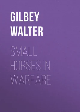 Walter Gilbey Small Horses in Warfare обложка книги