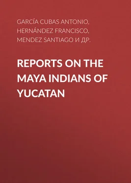Antonio García Cubas Reports on the Maya Indians of Yucatan обложка книги