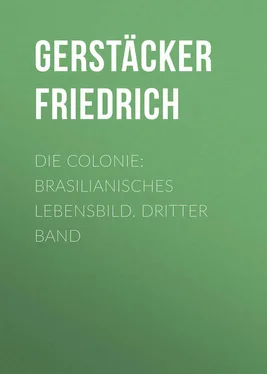 Friedrich Gerstäcker Die Colonie: Brasilianisches Lebensbild. Dritter Band обложка книги