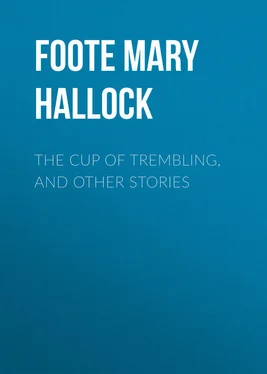 Mary Foote The Cup of Trembling, and Other Stories обложка книги