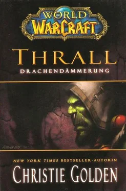 Christie Golden Thrall: Drachendämmerung обложка книги