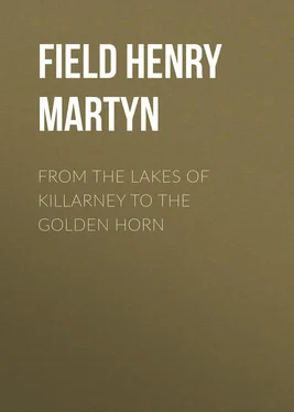 Henry Field From the Lakes of Killarney to the Golden Horn обложка книги