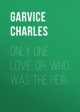 Charles Garvice Only One Love; or, Who Was the Heir обложка книги