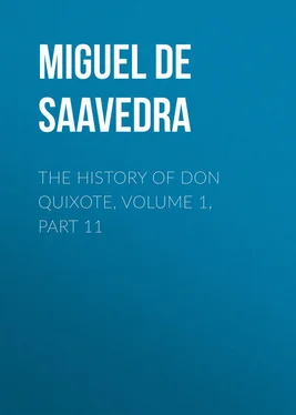 Miguel Cervantes The History of Don Quixote, Volume 1, Part 11 обложка книги