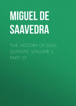Miguel Cervantes The History of Don Quixote, Volume 1, Part 07 обложка книги