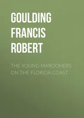 Francis Goulding - The Young Marooners on the Florida Coast