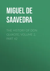 Miguel Cervantes - The History of Don Quixote, Volume 2, Part 42