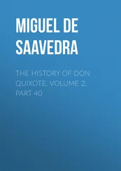 Miguel Cervantes - The History of Don Quixote, Volume 2, Part 40
