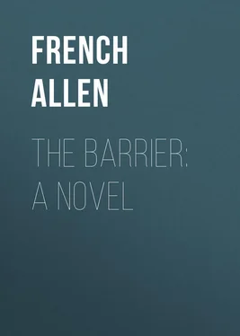 Allen French The Barrier: A Novel обложка книги