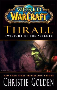 Christie Golden Thrall: Twilight of the Aspects обложка книги