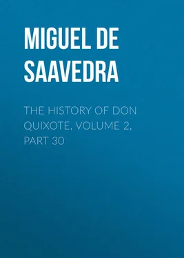 Miguel Cervantes The History of Don Quixote, Volume 2, Part 30 обложка книги