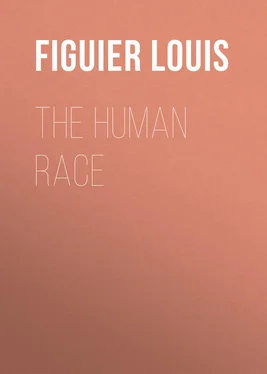 Louis Figuier The Human Race обложка книги