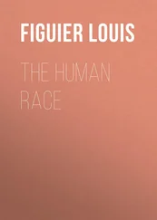 Louis Figuier - The Human Race
