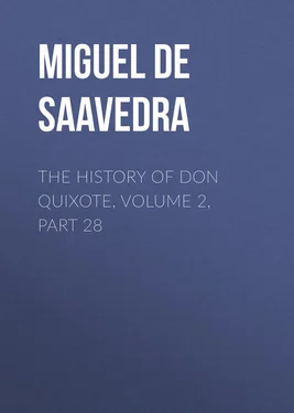 Miguel Cervantes The History of Don Quixote, Volume 2, Part 28 обложка книги