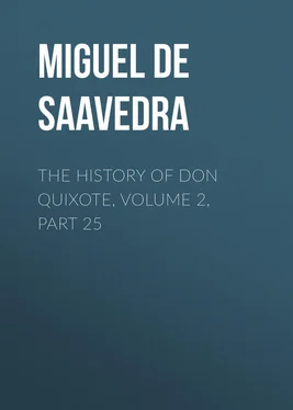 Miguel Cervantes The History of Don Quixote, Volume 2, Part 25 обложка книги