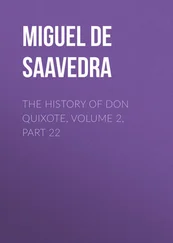 Miguel Cervantes - The History of Don Quixote, Volume 2, Part 22