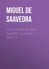 Miguel Cervantes - The History of Don Quixote, Volume 1, Part 17