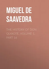 Miguel Cervantes - The History of Don Quixote, Volume 1, Part 16