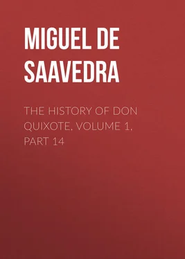 Miguel Cervantes The History of Don Quixote, Volume 1, Part 14 обложка книги