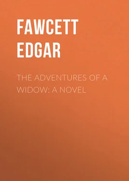 Edgar Fawcett The Adventures of a Widow: A Novel обложка книги