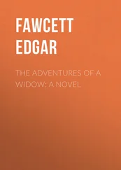 Edgar Fawcett - The Adventures of a Widow - A Novel