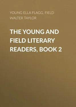 Walter Field The Young and Field Literary Readers, Book 2 обложка книги