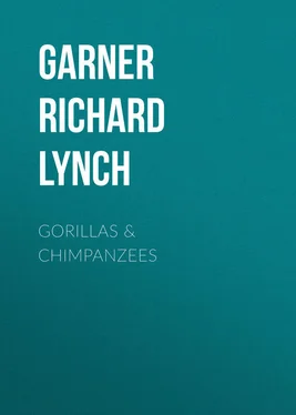 Richard Garner Gorillas & Chimpanzees обложка книги