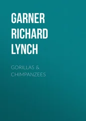 Richard Garner - Gorillas &amp; Chimpanzees