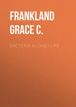 Grace Frankland Bacteria in Daily Life обложка книги